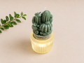 Handcrafted Cactus Candle Décor