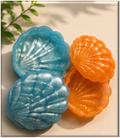 Handmade Seashell Keepsake Boxes