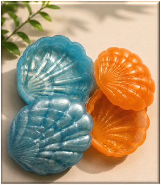 Handmade Seashell Keepsake Boxes